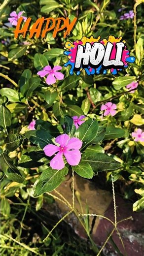 ✨Happy Holi 🫟| Mini vlog |#viral#minivlog#holi#shorts