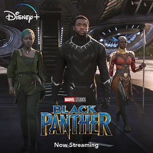 It is your time. Marvel Studios' #BlackPanther is now streaming on #DisneyPlus. | Disney