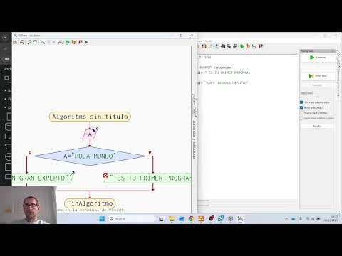 Manual de uso de Pseint