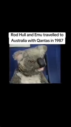 Rod Hull and Emu travelled to Australia with Qantas in 1987 #nostalgia #nostalgiawizard #80snostalgia #rodhull #emu #rodhullandemu #qantas #qantasairways #auz #australia #funnytiktok #funnytiktokvideos #tv #advert | Nostalgia Wizard