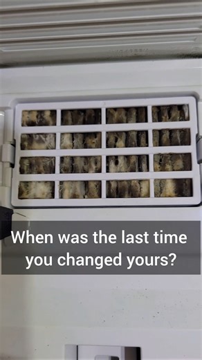 Refrigerator Air Filter Most People Forget to Change #mold #airfilter #refrigeratortips