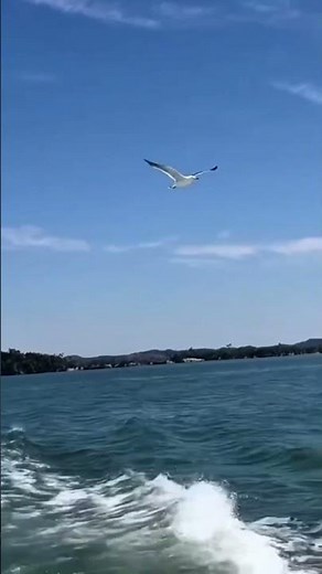 宮城県松島町 遊覧船
