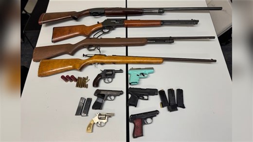 Woman felon nabbed with 10 guns during Fayetteville raid, deputies say