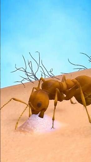 How Ants Bite Us. #foryou #shorts #fact #facts