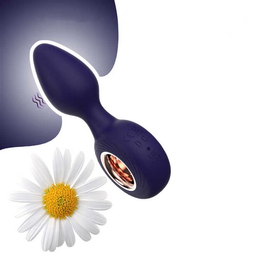 New Arrival Anal Plug Vibrator Sex Toy Silicone Waterproof Strong Vibration Vaginal Vibrator Electric Anal Plug