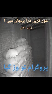 327 reactions · 17 shares | کیا۔ ہوگا۔ اس۔ قوم۔ کا۔  | Rizwan Sahal | Facebook