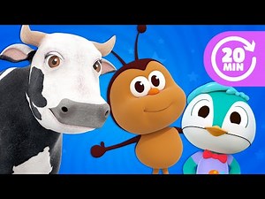 Le Migliori Canzoni Per Bambini | Il Regno dei Bambini