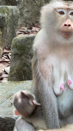 What should I eat, Olivia? I want to get up and I'm always hungry.