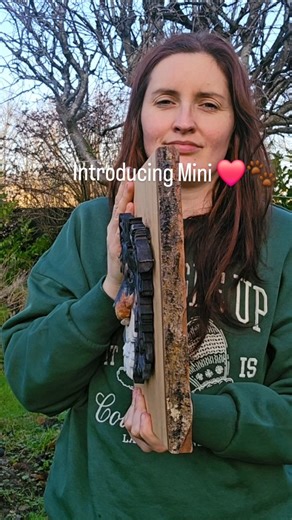 Introducing Mini ❤️🐾 Handcrafted entirely from sustainably sourced Scottish sycamore wood 🌳🌳 I have a serious sheltie soft-spot so was delighted recieve this commission for Christmas 😍 Emily x | Ingrained Moments Woodcraft