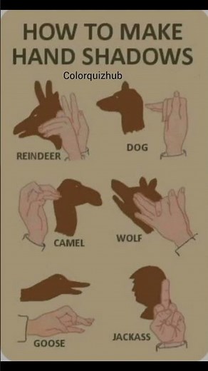 How to Make Hand Shadows ✋#handshadows #shadowart #funlearning #shorts #ytshort #colorquizhub