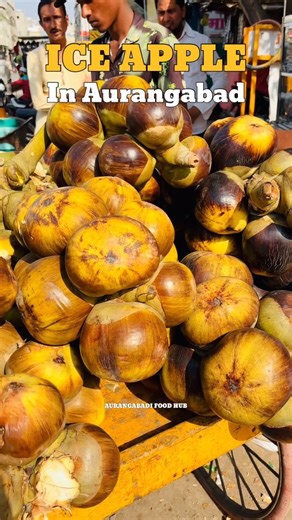 AURANGABADI FOOD HUB | EXPLORE WITH EHSAN on Instagram: "Nature’s freshness, now enjoyed in winter too 🍈❄️ Ice Apple in Aurangabad! #IceApple #NaturalFruit #HealthyLifestyle #AurangabadDiaries #LocalFruits #SeasonalVibes #CleanEating"