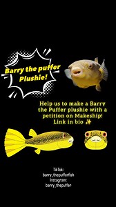 It's time for some cockles, he needs hard-shelled food to help wear down his ever-growing teeth. Help us to make a Barry the pufferfish plushie! ✨👇🏻✨ https://www.makeship.com/petitions/barry-the-puffer-plushie #barrythepuffer #barrythepufferfish | Barry the Puffer