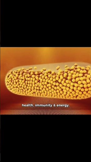 Macronutrients vs. Micronutrients (Explained Fast)