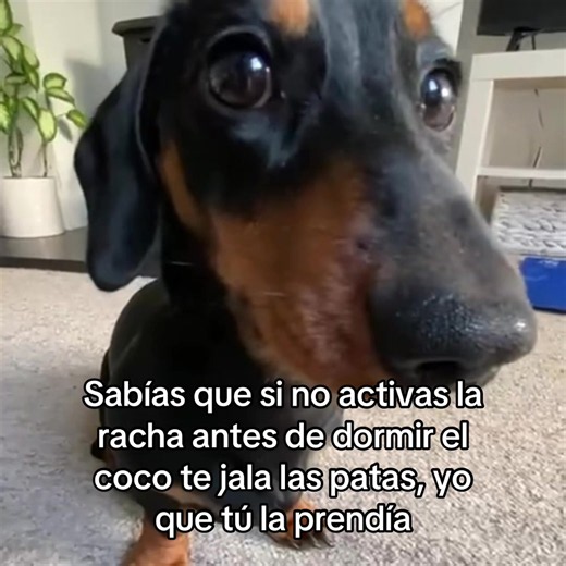 Cómo activar la racha antes de dormir para mantener la racha