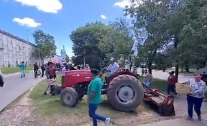 VIDEO. El drama de los productores frutihortícolas: "Perdimos el 90% de la producción en las quintas”