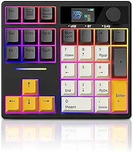 X BOYI TD31Pro Mechanical Number Pad,30 Keys Hot Swap Wireless BT5.0/2.4GHz/Type-C Wired Numeric Keypad Programmable RGB Gaming Numpad Keyboard with Knob Screen for Laptop/Mac (Black)