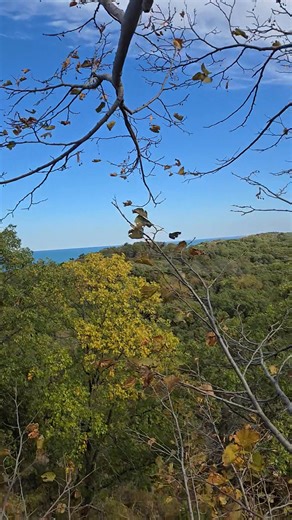 Great views near Indiana Dunes National Park ! | The Tree Bee