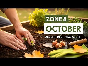 Zone 8 October Gardening Tips | Vegetables, Herbs & Bulbs to Plant This Month!