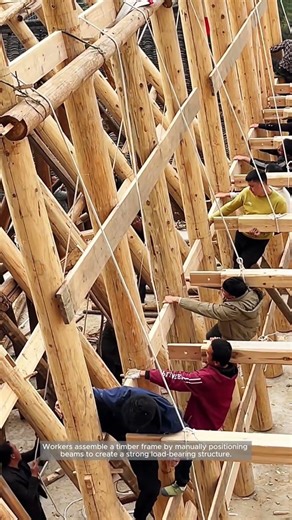 Traditional Timber Frame Construction in Action