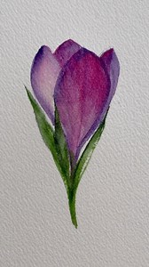 Want to learn how to paint this crocus? Then join my latest class Watercolor Florals for Beginners: Paint Easy Spring flowers. Where we not only paint this crocus but a tulip, snowdrop and magnolia too!!! 😃 check the link in bio. And wait! One more thing. There is even a giveaway… winner gets one year of Skillshare premium membership free!!!!! . . . #cartel_watercolorists #letsmakeart #illustrationsketch #watercolordaily #illustration_best #watercolorart #worldwatercolorgroup #artjournal #flora