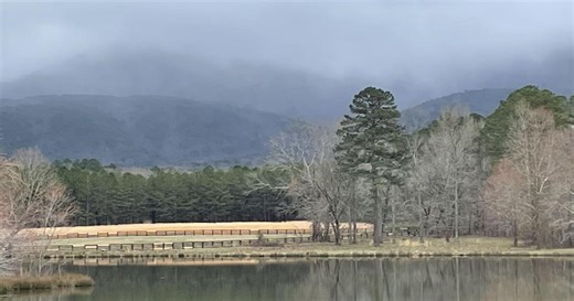 Cherokee County Commits $2M to Help Preserve Pine Log WMA