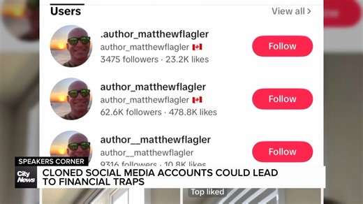 Author fights to get fake social media accounts taken down