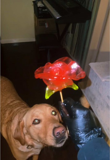 DIY Edible Flower Bouquet Tutorial