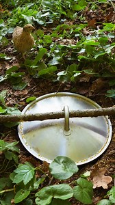 DIY quail trap. Wild quail cooking on fire. ASMR: Watch with Sound! 🍃 | 5-Year Crafts