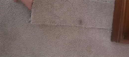 Ever walked along your floors and it felt spongy? Potential termite damage like this.... | The Pest Posse