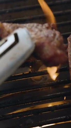 Louisiana Grills 300SL Portable Wood Pellet Grill #Shorts