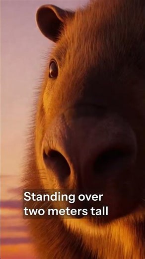 Diprotodon#ancientanimals