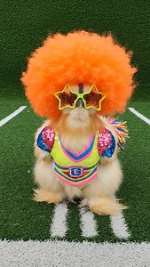 7.4K views · 3.2K reactions | Let's go  | Pocket Macro | Facebook