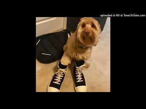 [FREE] rexv2 x winners circle x osamason type beat - "shell shock"