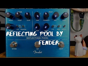 Fender Reflecting Pool (Mirror Image Delay + Marine Layer Reverb) Demo in Stereo (no talking)