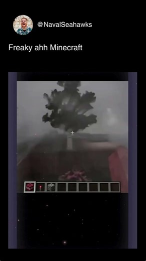 Freaky Ahh Minecraft