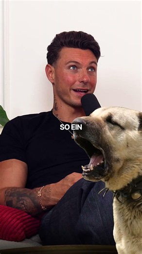Which animal could you defeat? 🦁😂