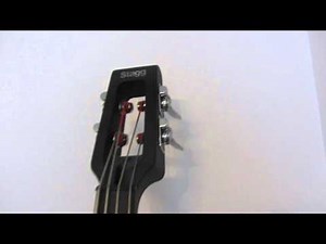 Part 1. Stagg Electric Upright Bass (EDB 3/4) - MVI 2202