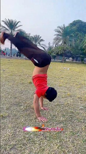 BWP Taekwondo | Small Boy Doing 10 Backflips | Amazing Kids Skills