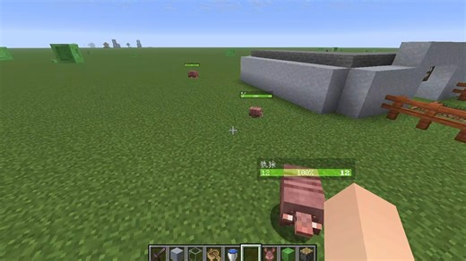 Mc前期丐版生电机器 村民繁殖机 打折机 犰狳经验史莱姆农场 刷铁轨地毯机 机器部分参考大佬们的设计 不一一列举