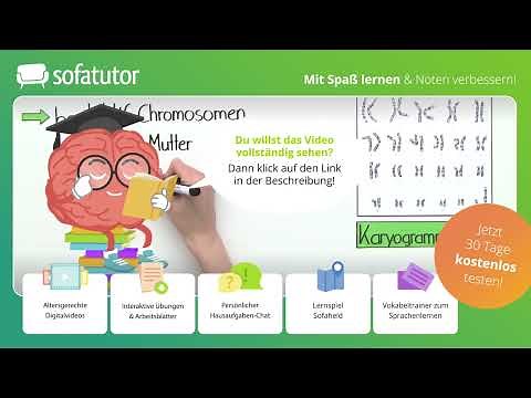 Chromosomen – Bau und Funktion einfach erklärt – Biologie 9. - 13. Klasse