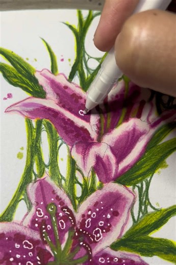 ⋆˚꩜｡𐔌՞ ܸ.ˬ.ܸ՞𐦯 .✦ ݁˖ ⋆˚꩜｡