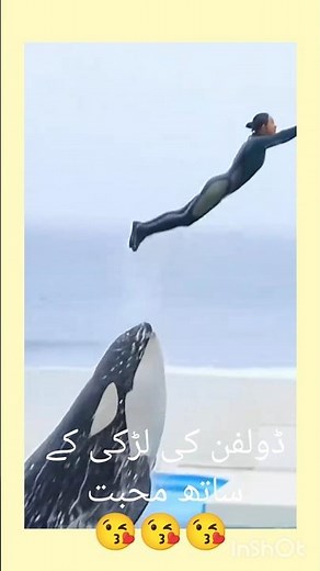 Dolphin's love with girl 💕