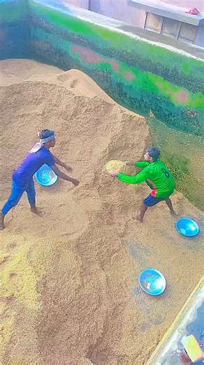 Grain Sorting Techniques in Cultural Context