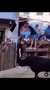 Sunkkeysnoop on Reels