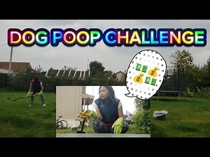 Cleaning Dog Poop in Backyard / German Shepherd Playground Cleanup