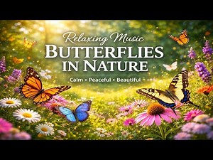 Soothing Butterflies in Nature 🌸 Calm & Peaceful Relaxing Music l Beautiful Nature Meditative Music
