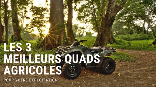 Tour de plaine : pourquoi pas un quad agricole ?