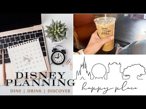 Disney Planning Guide: Your Ultimate Adventure Awaits! 🌟 FREE PDF guides!