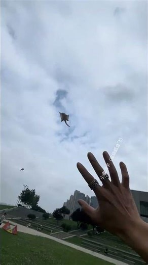 Flying Sugar Glider # Flying Throw # Charming Pet's Confused Behaviors