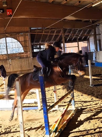 Fragen zu Turnieren 2024: Frühzeitig planen!